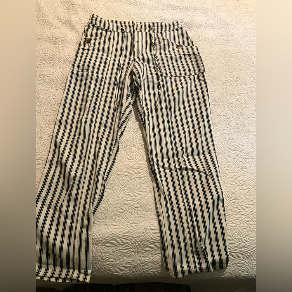 American Eagle Outfitters Navy and Cream Striped Pants
